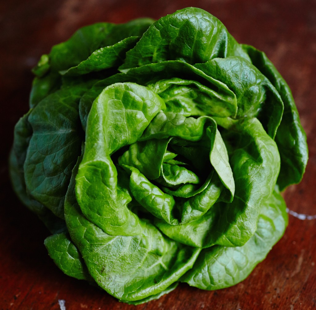 Local lettuce from Nextdoorganics