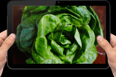 foodiecom foodiecom