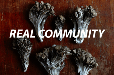 realcommunity-1 150701-CSA_010